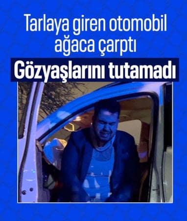 Tekirdağ'da tarlaya giren otomobil ağaca çarptı: Sürücü gözyaşlarını tutamadı