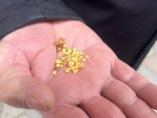 Yozgat’ta ata tohumlarıyla tarım hafızası canlı tutuluyor