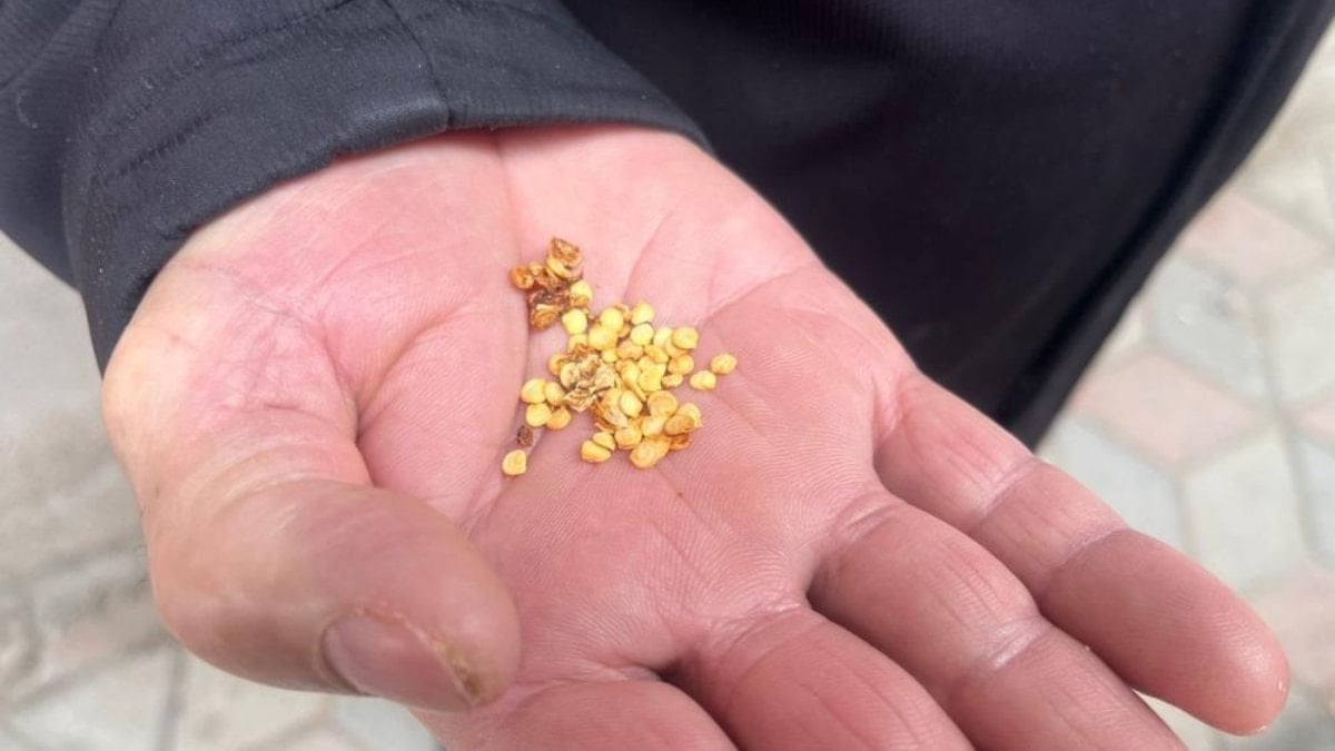 Yozgat’ta ata tohumlarıyla tarım hafızası canlı tutuluyor