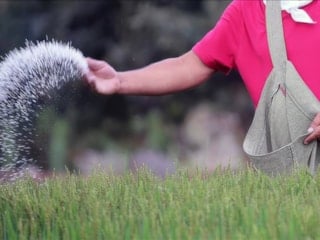 Hürmüz Boğazı'nın kapanması gübre krizini doğurdu