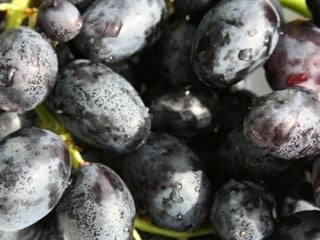 Doğal renk eşitleyici: Göz altlarına sürün, morlukları silin