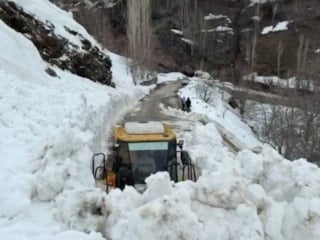 Van'da yola çığ düştü