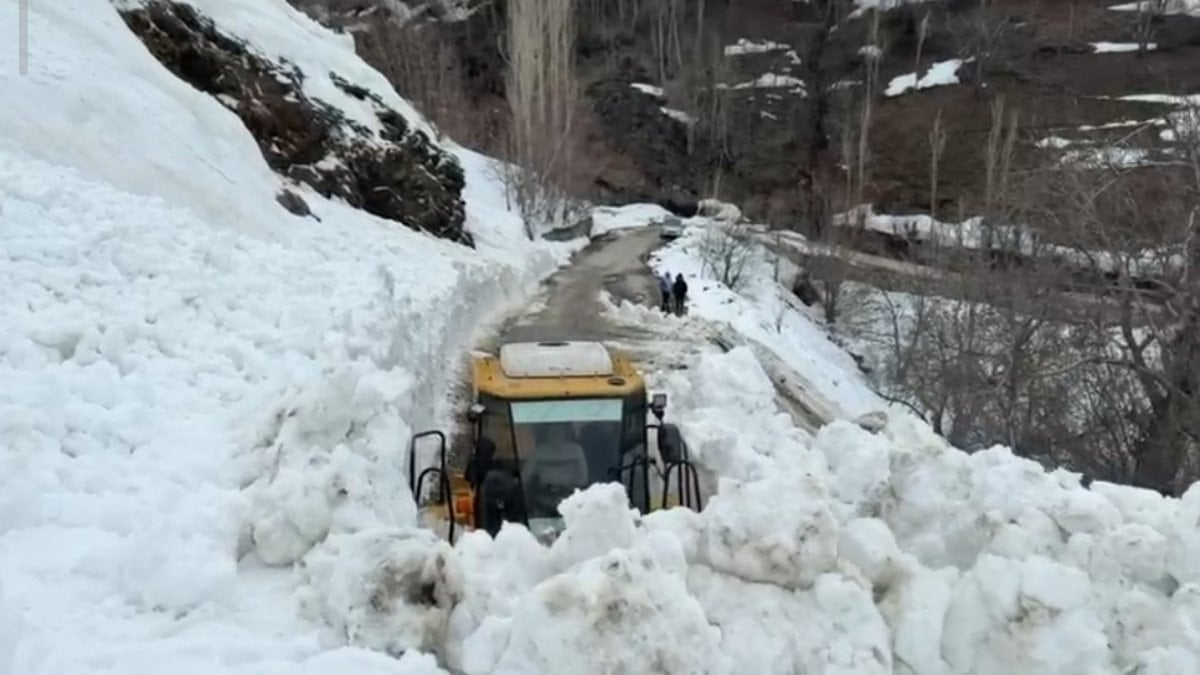 Van'da yola çığ düştü