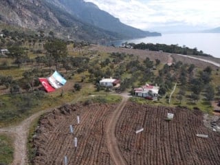 Muğla Turnalı Sahili yeniden yeşilleniyor