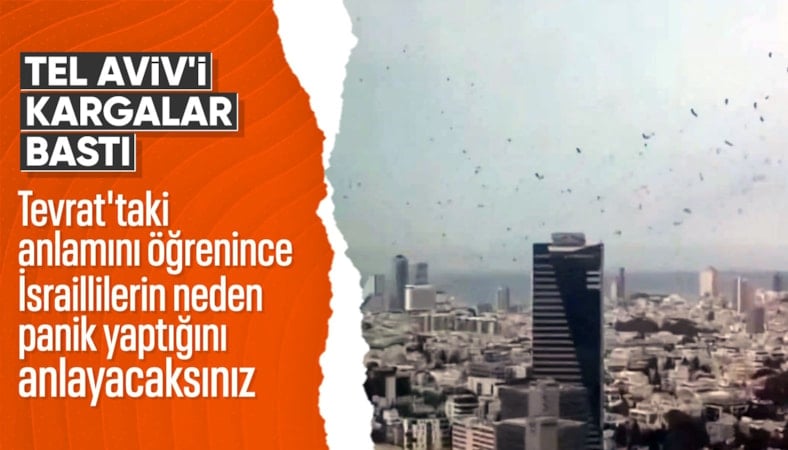 Tel Aviv’de gökyüzünü kargalar kapladı: Uğursuzluk saydılar