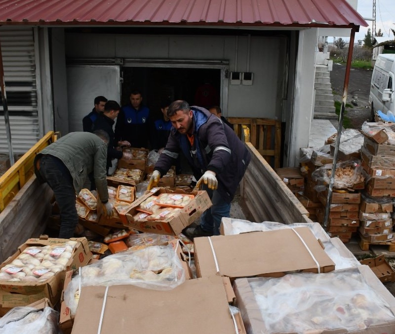 Şanlıurfa'da 50 ton bozuk tavuk eti ele geçirildi