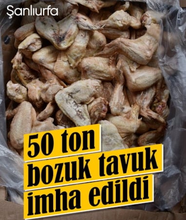 Şanlıurfa'da 50 ton bozuk tavuk eti ele geçirildi