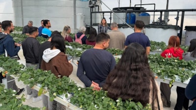 Antalya’da öğrenciler topraksız çilek üretimini yerinde öğrendi