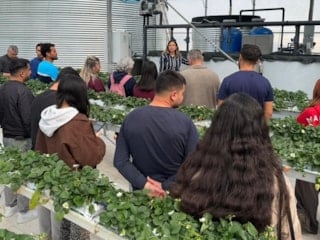 Antalya’da öğrenciler topraksız çilek üretimini yerinde öğrendi