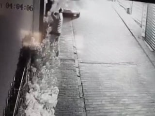 Bursa'da camı açamayan hırsız kapıdaki süs ağacını söküp götürdü