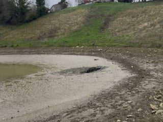 Sakarya'da 46 yıl sonra ortaya çıkan mağara, göleti boşalttı
