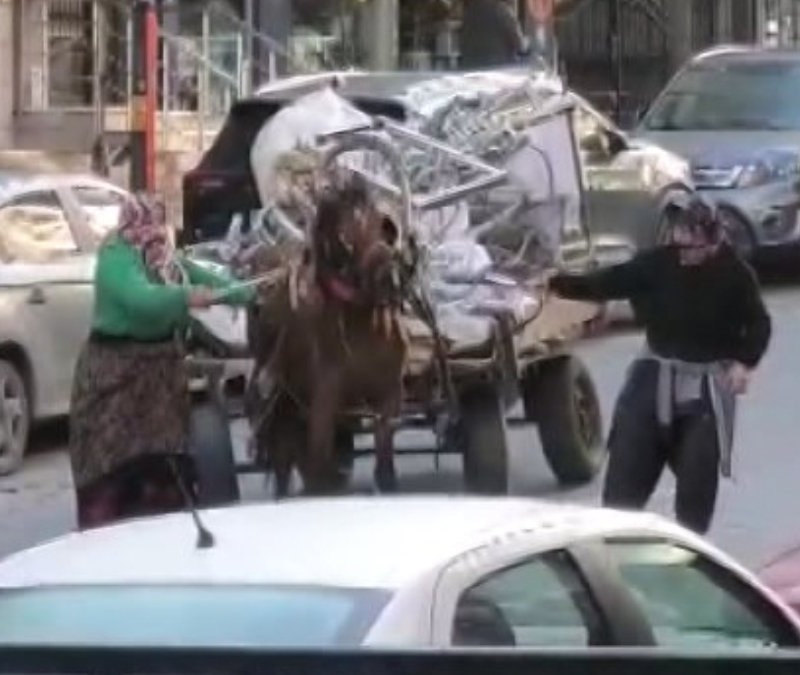 İstanbul'da aşırı yük taşıtılan ata sopa ve kemerli şiddet kamerada