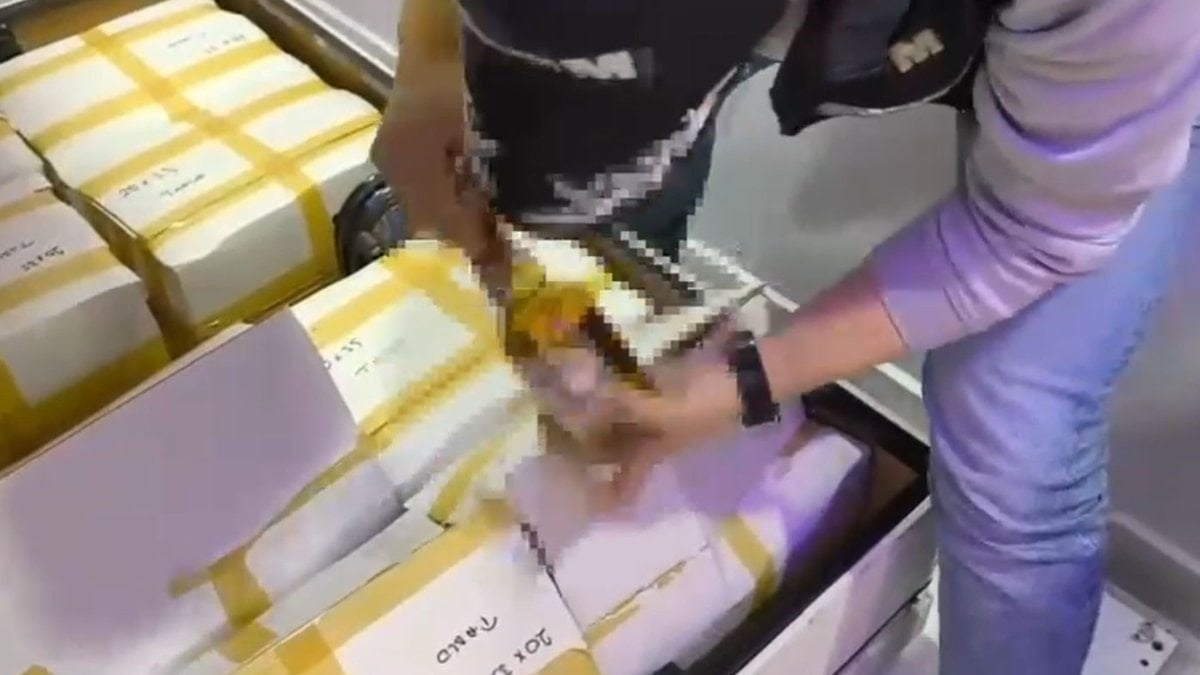 İstanbul'da kaçak içki operasyonu: Baza altından koli koli kaçak içki çıktı