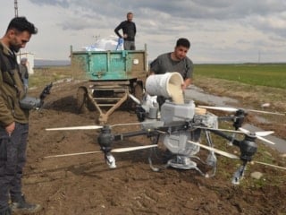 Muş'ta buğday tarlaları dronelarla gübreleniyor: Teknolojiyle verim artıyor