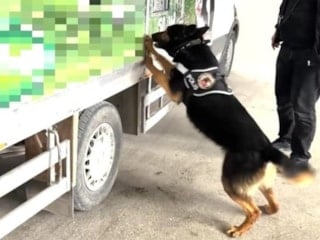 Van'da kamyonette 90 kilo uyuşturucu bulundu