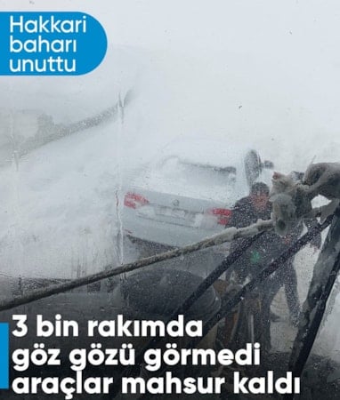 Hakkari'de zirvede mahsur kalanlar kurtarıldı
