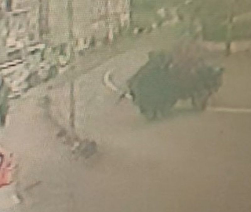 Kastamonu'da lastiği fırlayan tarım aracı takla attı