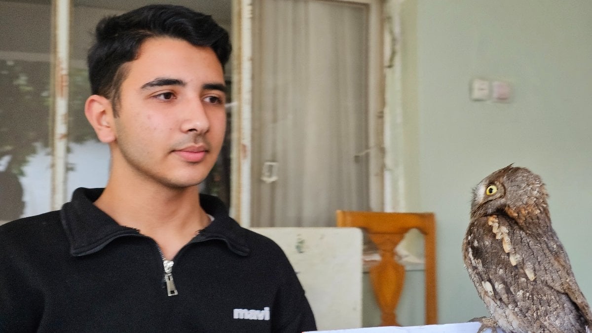 Hatay'da yaralı bulduğu İshak kuşunu kurtardı