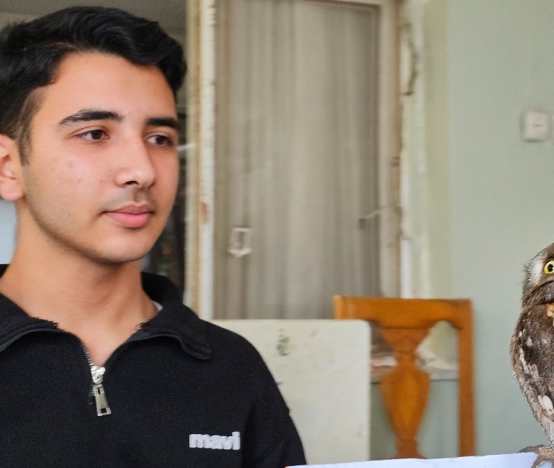 Hatay'da yaralı bulduğu İshak kuşunu kurtardı