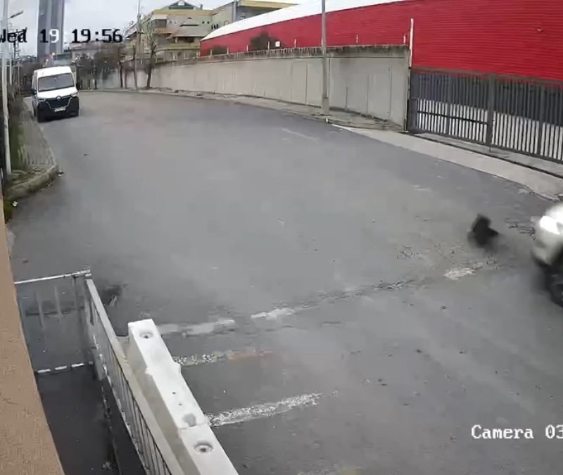 İstanbul'da köpeği ezen sürücü yoluna devam etti