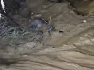 Aydın’da gece yarısı korku dolu anlar: Çaya düşen araçtaki sürücü kurtarıldı