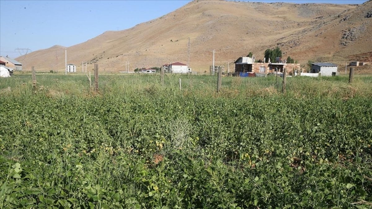 Tarlaya ev yapma şartları değişti: İşte 2026 kuralları