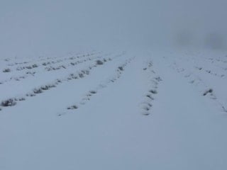 Mart sonunda Karıncalı Dağı’nda beyaz sürpriz