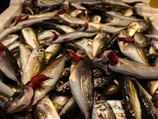 Trabzon'da av yasağı yaklaşırken tezgahlarda istavrit bolluğu yaşanıyor