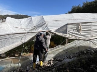 Antalya Kumluca’da hortum seralara zarar verdi
