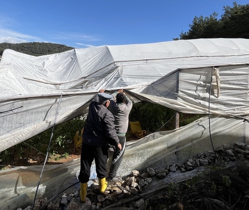 Antalya Kumluca’da hortum seralara zarar verdi