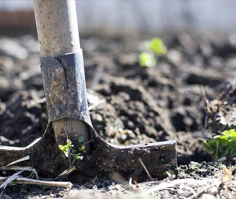 Hürmüz Boğazı krizi küresel gübre piyasasını sarstı: Fiyatlar hızla yükseliyor