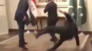 Pakistan Dışişleri Bakanı Dar, Mısırlı mevkidaşını karşılarken düştü