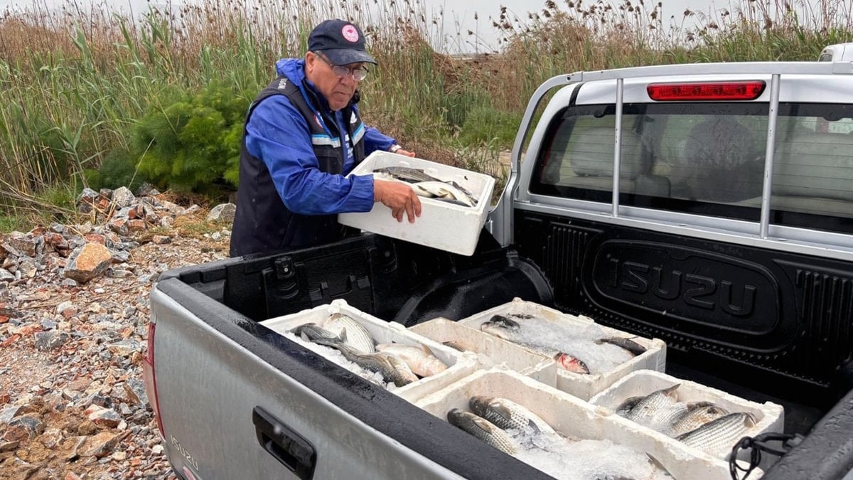 Muğla'da kaçak avlanan 80 kilo kefal balığına el konuldu