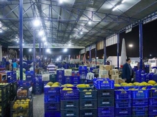 Ticaret Bakanlığı, sebze ve meyve ticaretinde haksız kazanç sağlayanların peşinde