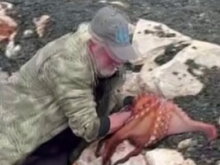 Karaburun’da balıkçı kayalıklardaki dev ahtapotu elleriyle yakaladı