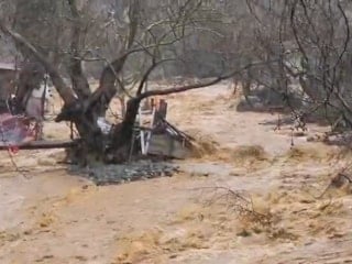 Yalova’da sağanak sele dönüştü: 5 büyükbaş hayvan telef oldu