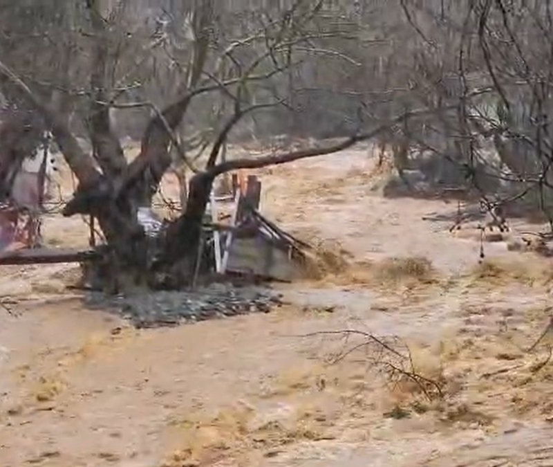 Yalova’da sağanak sele dönüştü: 5 büyükbaş hayvan telef oldu