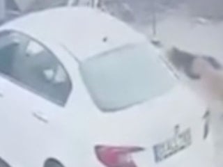 Adana'da sahipsiz köpekler bu kez kediye saldırdı: Öldü