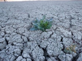 Türkiye'nin kuraklık haritası