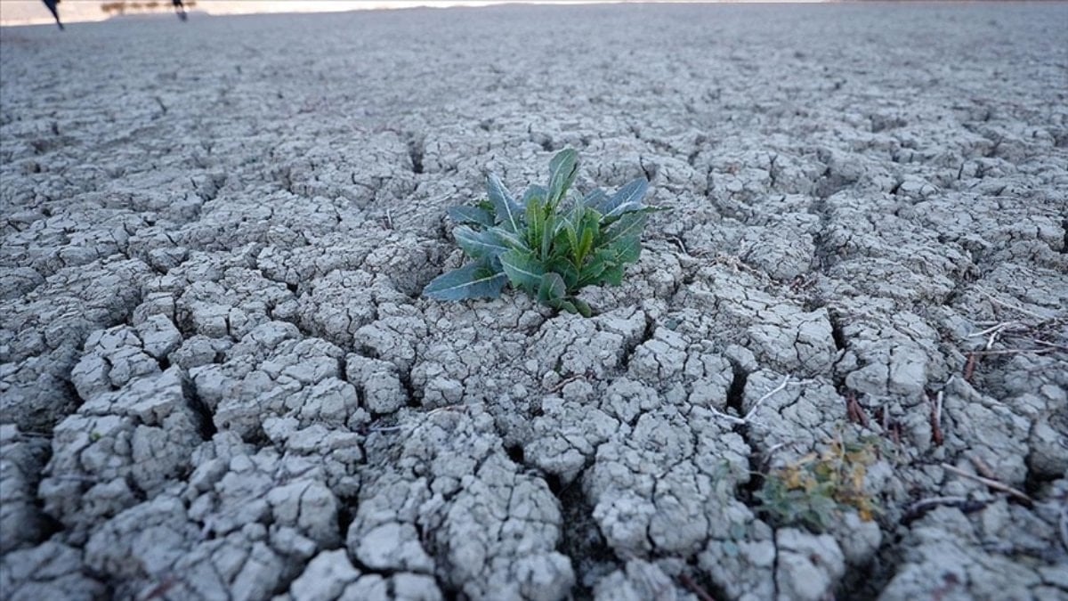 Türkiye'nin kuraklık haritası