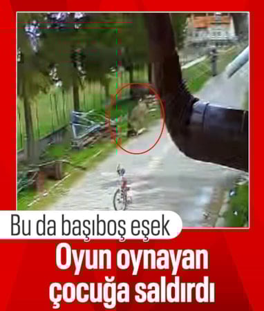 Afyonkarahisar'da evinin önünde oynarken eşeğin saldırısına uğrayan çocuk kamerada