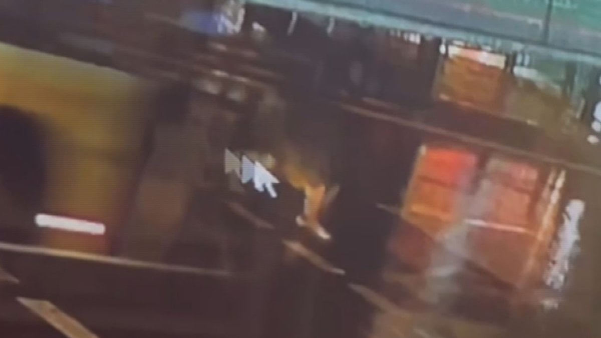 İstanbul Üsküdar'da kırmızı ışıkta geçen yayaya İETT otobüsü çarptı