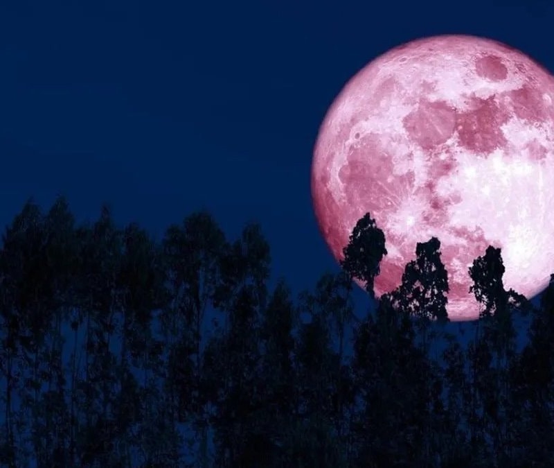 Pembe Dolunay tarihi 2026:  Pembe ay ne zaman, saat kaçta görünecek