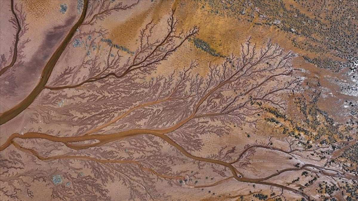 Tuzla Palas Gölü’nde doğanın sanatı: Suların oluşturduğu izler 'hayat ağacını' andırdı