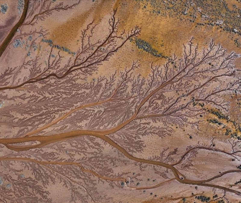 Tuzla Palas Gölü’nde doğanın sanatı: Suların oluşturduğu izler 'hayat ağacını' andırdı