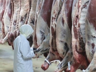 Et fiyatında manipülasyon yapanlara operasyon: 30 gözaltı