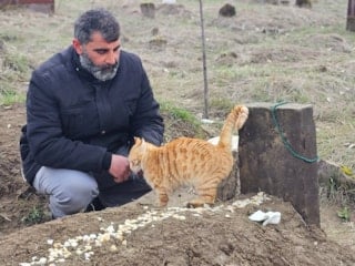 Muş'ta eşinin öldürdüğü adamın kedileri mezardan ayrılmıyor