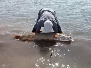 Elazığ’da amatör balıkçılardan dev av: 65 kiloluk turna