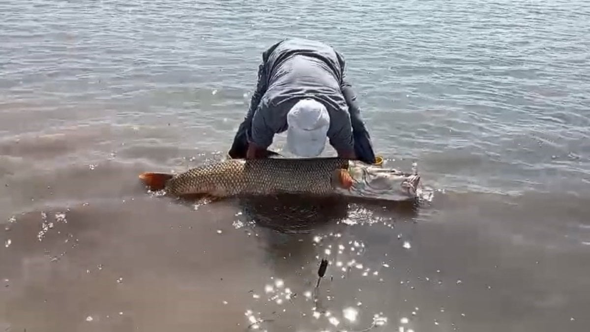Elazığ’da amatör balıkçılardan dev av: 65 kiloluk turna