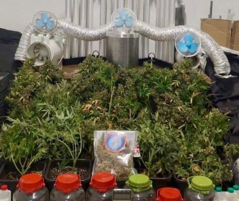 25 ilde narkotik operasyonu: 99 şüpheli tutuklandı